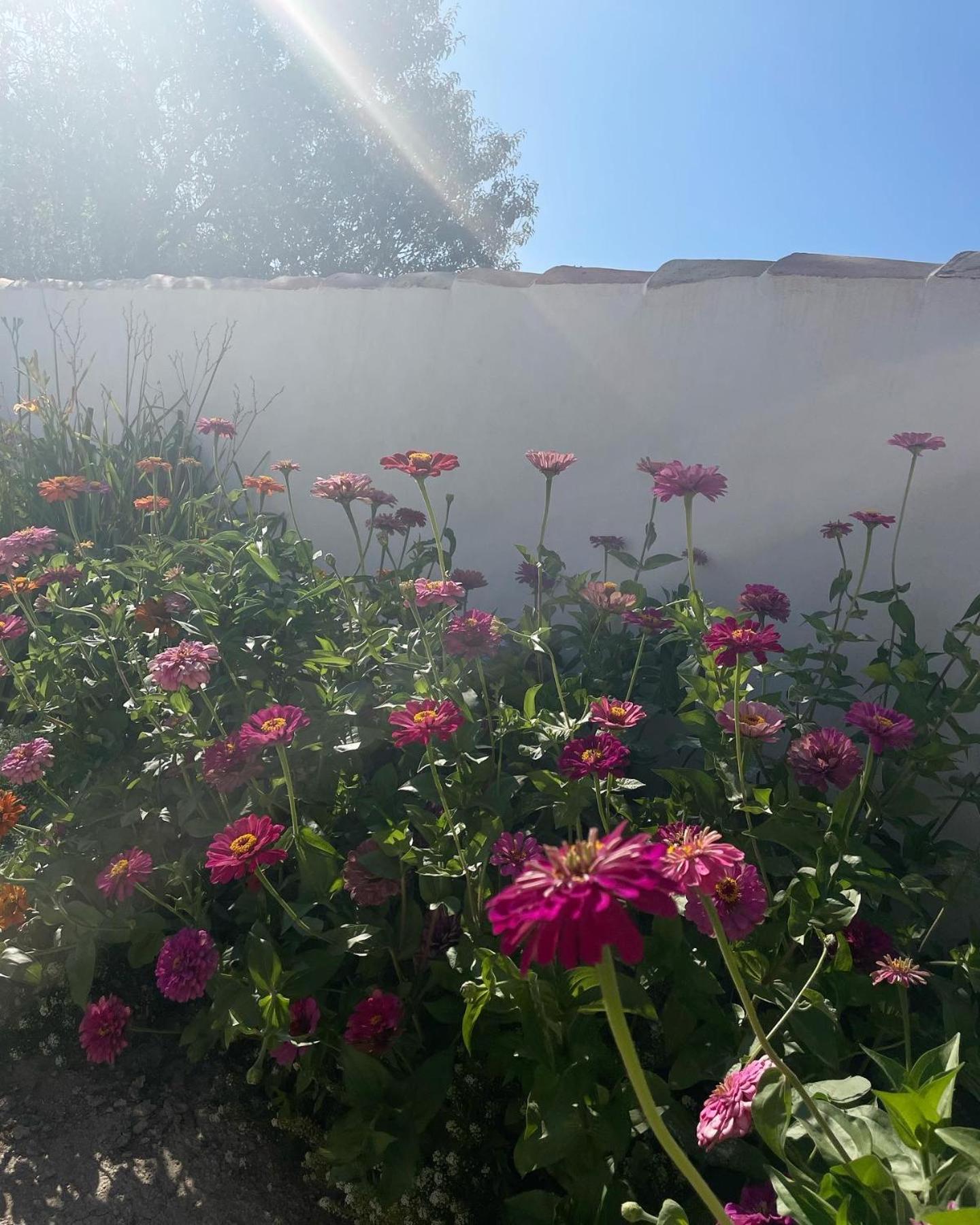 Vila Cortijo El Prado L Castril Exteriér fotografie